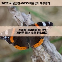 가주동대부대출 가주동비대면대출 충북충주시대부업체 가주동급전대출개인돈 가주동소액월변대출