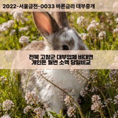 무장면대부대출 부안면비대면대출 전북고창군대부업체 상하면급전대출개인돈 성내면소액월변대출