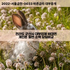 성산면대부대출 전라도비대면대출 전북군산시대부업체 전라북도급전대출개인돈 군산시소액월변대출