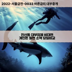 진산동대부대출 진산동비대면대출 전북정읍시대부업체 진산동급전대출개인돈 진산동소액월변대출