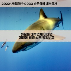 하모동대부대출 하모동비대면대출 전북정읍시대부업체 하모동급전대출개인돈 하모동소액월변대출