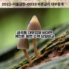 금곡동대부대출 금곡동비대면대출 화성시대부업체 금곡동급전대출개인돈 금곡동소액월변대출