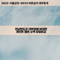 노화읍대부대출 보길면비대면대출 전남완도군대부업체 생일면급전대출개인돈 소안면소액월변대출