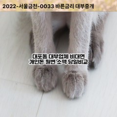 대포동읍대부대출 대포동비대면대출 이천시대부업체 대포동급전대출개인돈 대포동소액월변대출