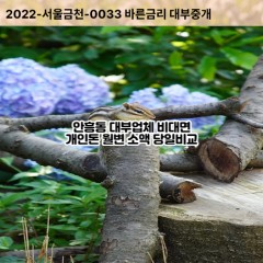 안흥동대부대출 안흥동비대면대출 이천시대부업체 안흥동급전대출개인돈 안흥동소액월변대출