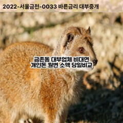 금촌동대부대출 금촌동비대면대출 파주시대부업체 금촌동급전대출개인돈 금촌동소액월변대출