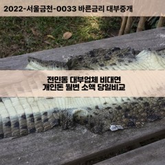 전민동대부대출 전민동비대면대출 대전유성구대부업체 전민동급전대출개인돈 전민동소액월변대출