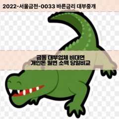 금동대부대출 금동비대면대출 대전시중구대부업체 금동급전대출개인돈 금동소액월변대출