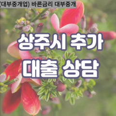 모서면대부대출 사벌국면비대면대출 상주시대부업체 외남면급전대출개인돈 외서면소액월변대출