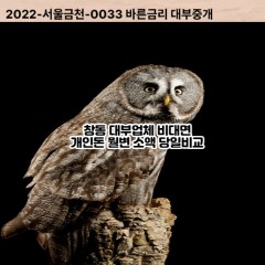 창동대부대출 창동비대면대출 여주시대부업체 창동급전대출개인돈 창동소액월변대출