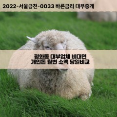 평화동대부대출 평화동비대면대출 전북군산시대부업체 평화동급전대출개인돈 평화동소액월변대출