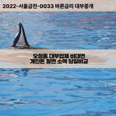 오정동대부대출 오정동비대면대출 대전시대덕구대부업체개인돈 오정동월변대부업체 오정동소액월변대출