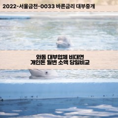 와동대부대출 와동비대면대출 대전시대덕구대부업체개인돈 와동월변대부업체 와동소액월변대출