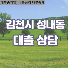 성내동대부대출 성내동비대면대출 김천시대부업체 성내동급전대출개인돈 성내동소액월변대출