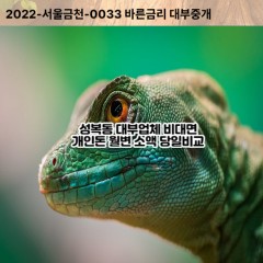 성복동대부대출 성복동비대면대출 용인시수지구대부업체 성복동급전대출개인돈 성복동소액월변대출