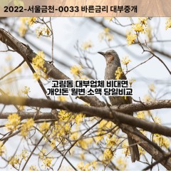 고림동대부대출 고림동비대면대출 용인시처인구대부업체 고림동급전대출개인돈 고림동소액월변대출