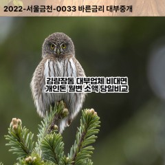 김량장동동대부대출 김량장동동비대면대출 용인시처인구대부업체 김량장동동급전대출개인돈 김량장동동소액월변대출