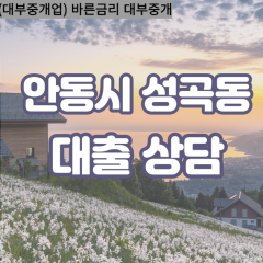 성곡동대부대출 성곡동비대면대출 안동시대부업체 성곡동급전대출개인돈 성곡동소액월변대출