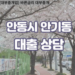 안기동대부대출 안기동비대면대출 안동시대부업체 안기동급전대출개인돈 안기동소액월변대출