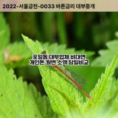 포일동대부대출 포일동비대면대출 의왕시대부업체 포일동급전대출개인돈 포일동소액월변대출