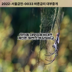 학의동대부대출 학의동비대면대출 의왕시대부업체 학의동급전대출개인돈 학의동소액월변대출