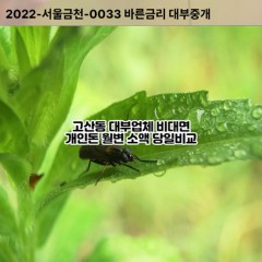 고산동대부대출 고산동비대면대출 의정부시대부업체 고산동급전대출개인돈 고산동소액월변대출