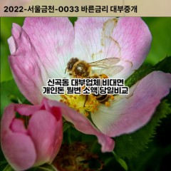 신곡동대부대출 신곡동비대면대출 의정부시대부업체 신곡동급전대출개인돈 신곡동소액월변대출