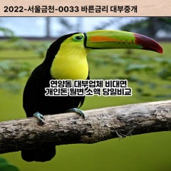 연양동대부대출 연양동비대면대출 여주시대부업체 연양동급전대출개인돈 연양동소액월변대출