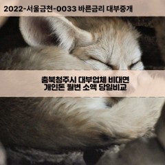 미원면대부대출 남문로1가비대면대출 청주시상당구대부업체 남문로2가급전대출개인돈 충북청주시소액월변대출