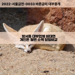 방서동대부대출 방서동비대면대출 청주시상당구대부업체 방서동급전대출개인돈 방서동소액월변대출