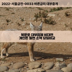 북문로대부대출 북문로1가비대면대출 청주시상당구대부업체 북문로2가급전대출개인돈 북문로3가소액월변대출