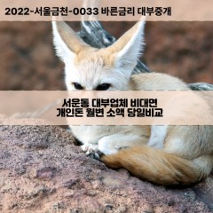 서운동대부대출 서운동비대면대출 청주시상당구대부업체 서운동급전대출개인돈 서운동소액월변대출