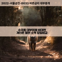 수곡동대부대출 수곡동비대면대출 청주시서원구대부업체 수곡동급전대출개인돈 수곡동소액월변대출