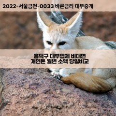 충청북도대부대출 강내면비대면대출 청주시흥덕구대부업체 오송읍급전대출개인돈 옥산면소액월변대출