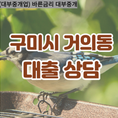 거의동대부대출 거의동비대면대출 구미시대부업체 거의동급전대출개인돈 거의동소액월변대출