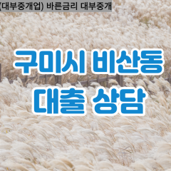 비산동대부대출 비산동비대면대출 구미시대부업체 비산동급전대출개인돈 비산동소액월변대출