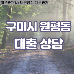 원평동대부대출 원평동비대면대출 구미대부업체 원평동급전대출개인돈 원평동소액월변대출