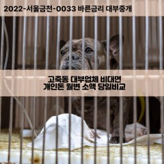 고죽동대부대출 고죽동비대면대출 전북남원시대부업체 고죽동급전대출개인돈 고죽동소액월변대출