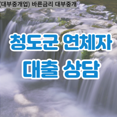 각남면대부대출 각북면비대면대출 청도군대부업체 금천면급전대출개인돈 청도소액월변대출