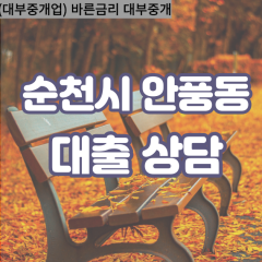 안풍동대부대출 안풍동비대면대출 순천시대부업체 안풍동급전대출개인돈 안풍동소액월변대출