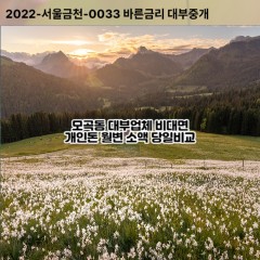 모곡동대부대출 모곡동비대면대출 평택시대부업체 모곡동급전대출개인돈 모곡동소액월변대출