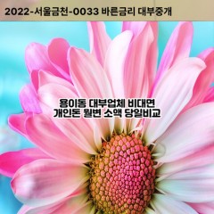 용이동대부대출 용이동비대면대출 평택시대부업체 용이동급전대출개인돈 용이동소액월변대출