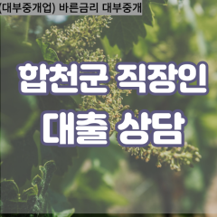 가야면대부대출 가회면비대면대출 합천군대부업체 대병면급전대출개인돈 대양면소액월변대출