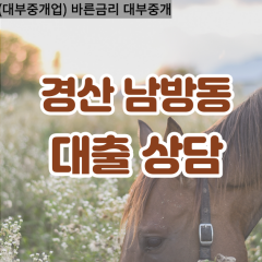 남방동대부대출 남방동비대면대출 경산시대부업체 남방동급전대출개인돈 남방동소액월변대출