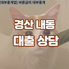 내동대부대출 내동비대면대출 경산시대부업체 내동급전대출개인돈 내동소액월변대출