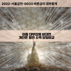 마동대부대출 마동비대면대출 전북익산시대부업체 마동급전대출개인돈 마동소액월변대출