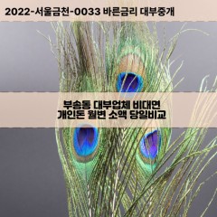 부송동대부대출 부송동비대면대출 전북익산시대부업체 부송동급전대출개인돈 부송동소액월변대출