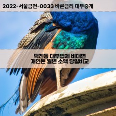 덕진동대부대출 덕진동1가비대면대출 전주시덕진구대부업체 덕진동2가급전대출개인돈 덕진동소액월변대출