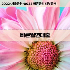 빠른월변대출 무직자월변대출 여성월변대출 직장인월변대출 비대면월변대출