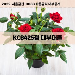 KCB425점대부대출 KCB425점비대면대출 KCB425점소액대부업체 KCB425점급전대출개인돈 KCB425점월변대출